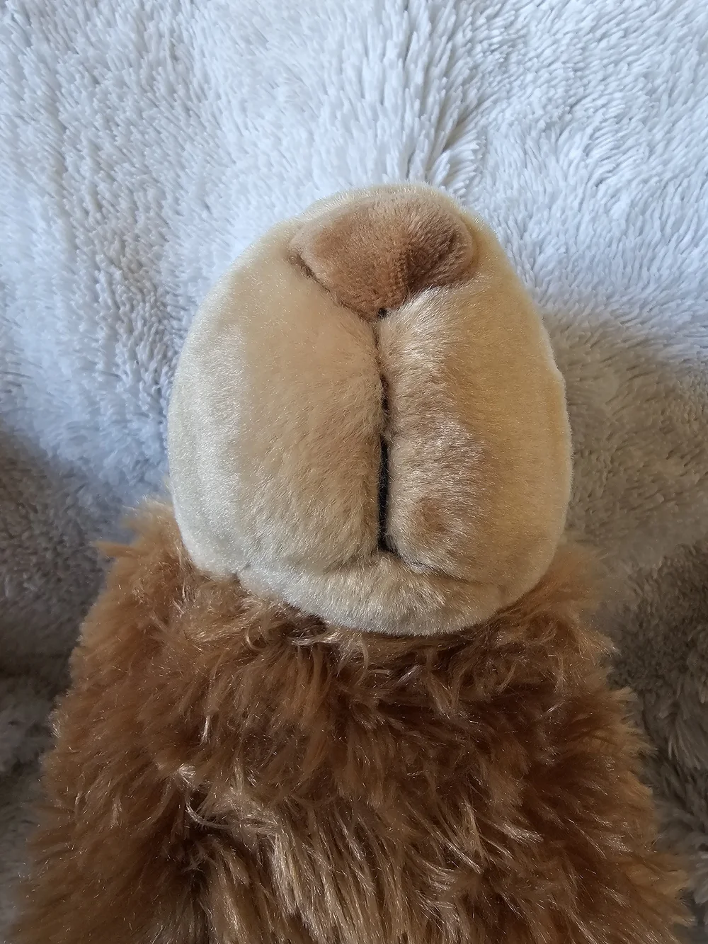 Wild Republic Cuddlekins Capybara Stuffed Animal 12